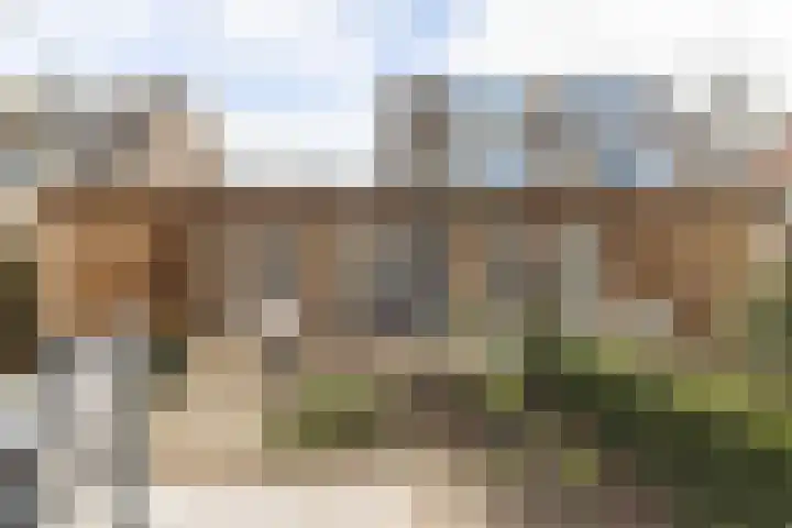 den Dries 40 Klein Zundert thumbnail 44