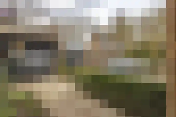 den Dries 40 Klein Zundert thumbnail 45