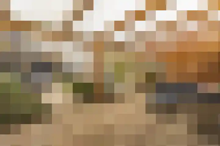 den Dries 40 Klein Zundert thumbnail 6