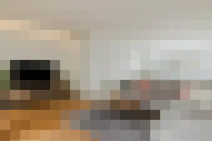 den Dries 40 Klein Zundert thumbnail 9