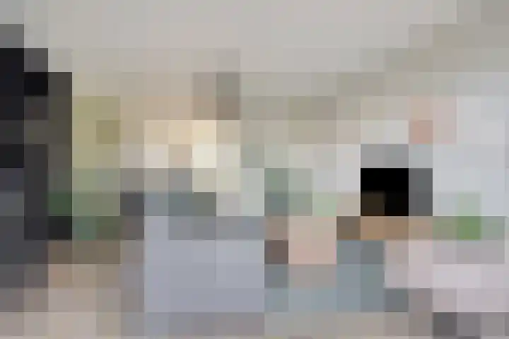 Den Dries 5 Best thumbnail 10