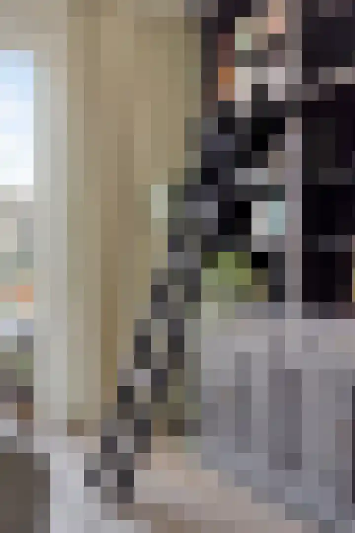Den Dries 5 Best thumbnail 12