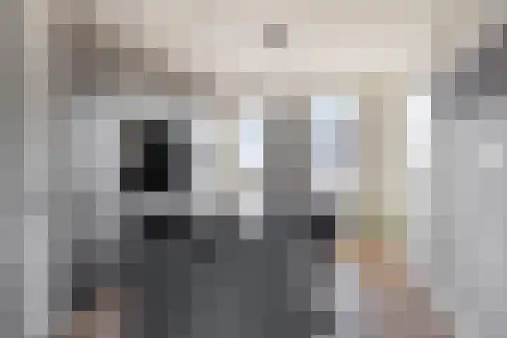 Den Dries 5 Best thumbnail 14