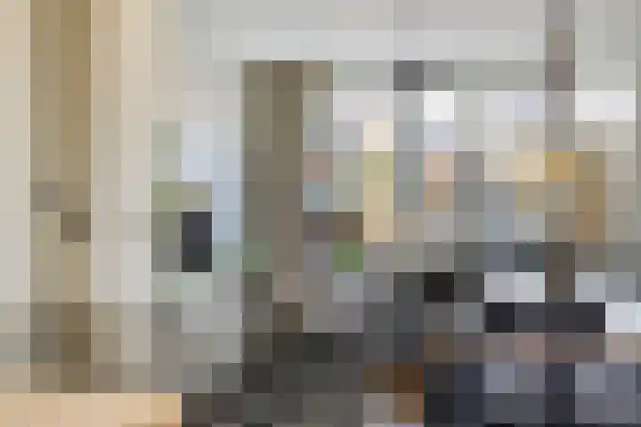 Den Dries 5 Best thumbnail 18