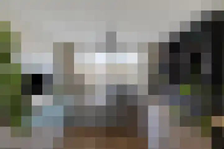 Den Dries 5 Best foto 2