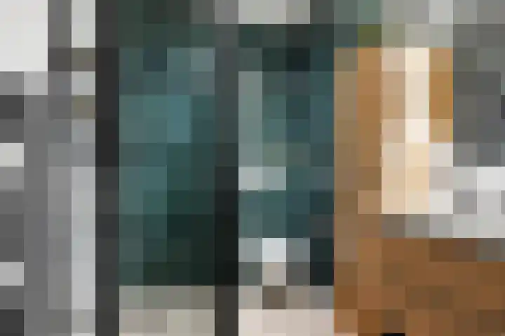 Den Dries 5 Best thumbnail 22