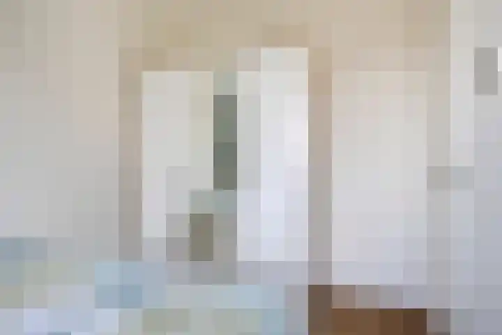 Den Dries 5 Best thumbnail 27