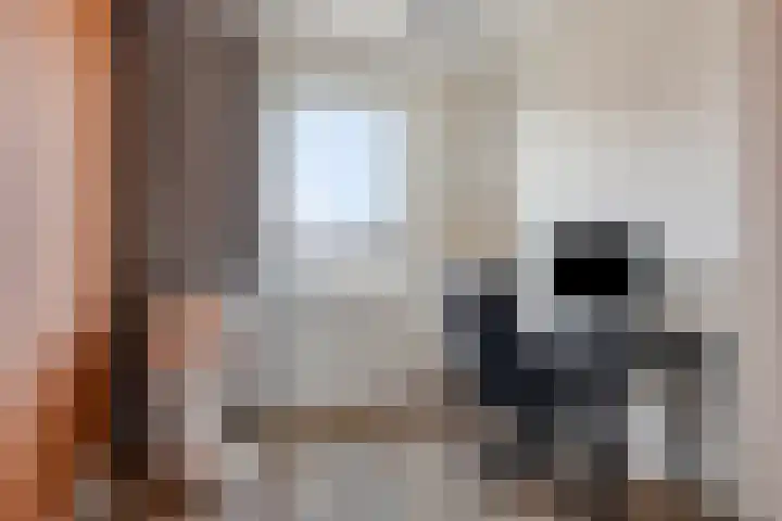 Den Dries 5 Best thumbnail 28