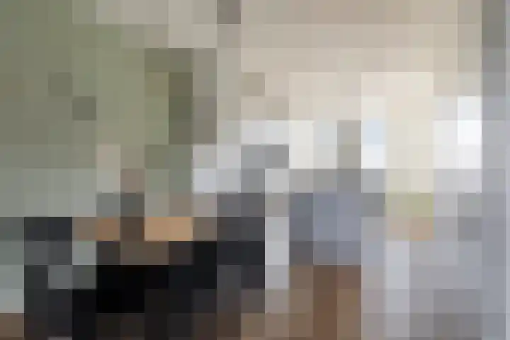 Den Dries 5 Best foto 3