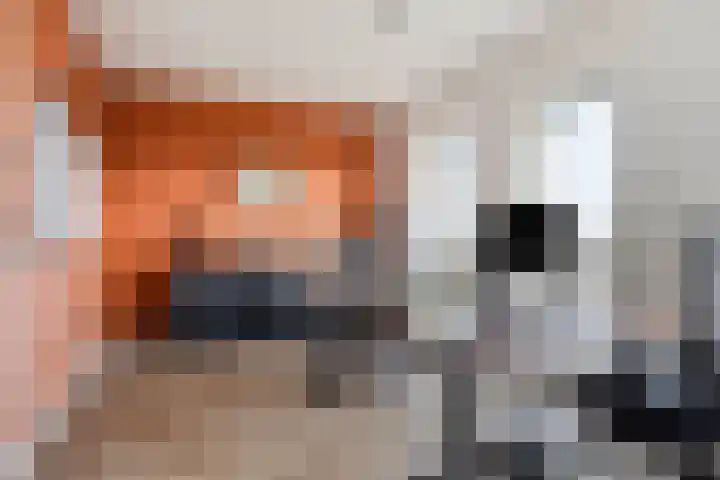 Den Dries 5 Best thumbnail 32