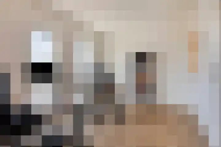 Den Dries 5 Best thumbnail 33