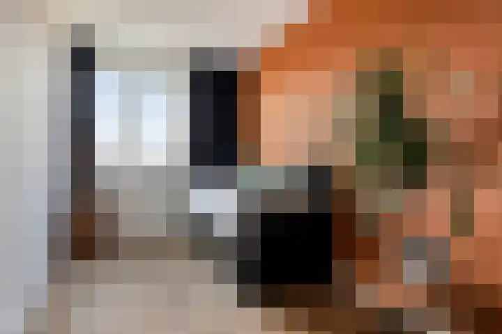 Den Dries 5 Best thumbnail 36