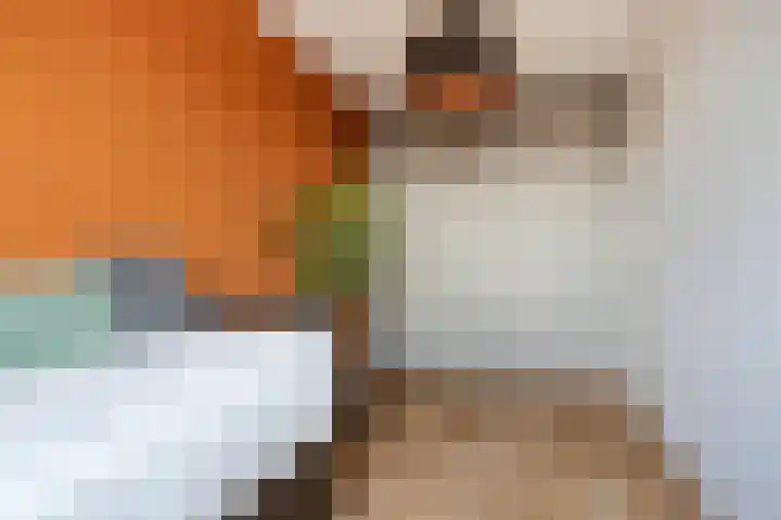 Den Dries 5 Best thumbnail 37