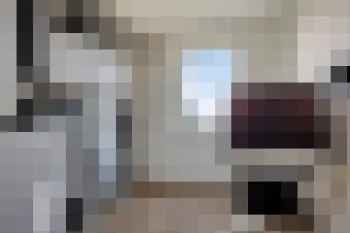 Den Dries 5 Best thumbnail 38