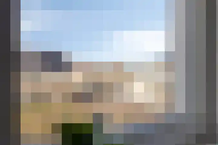 Den Dries 5 Best thumbnail 39