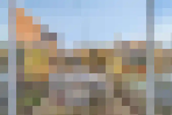 Den Dries 5 Best thumbnail 40