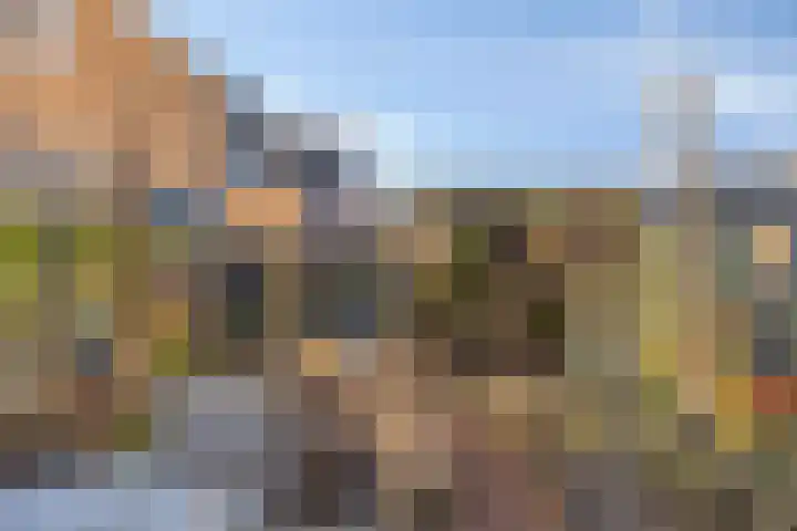 Den Dries 5 Best thumbnail 42