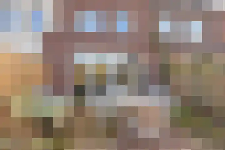 Den Dries 5 Best thumbnail 43