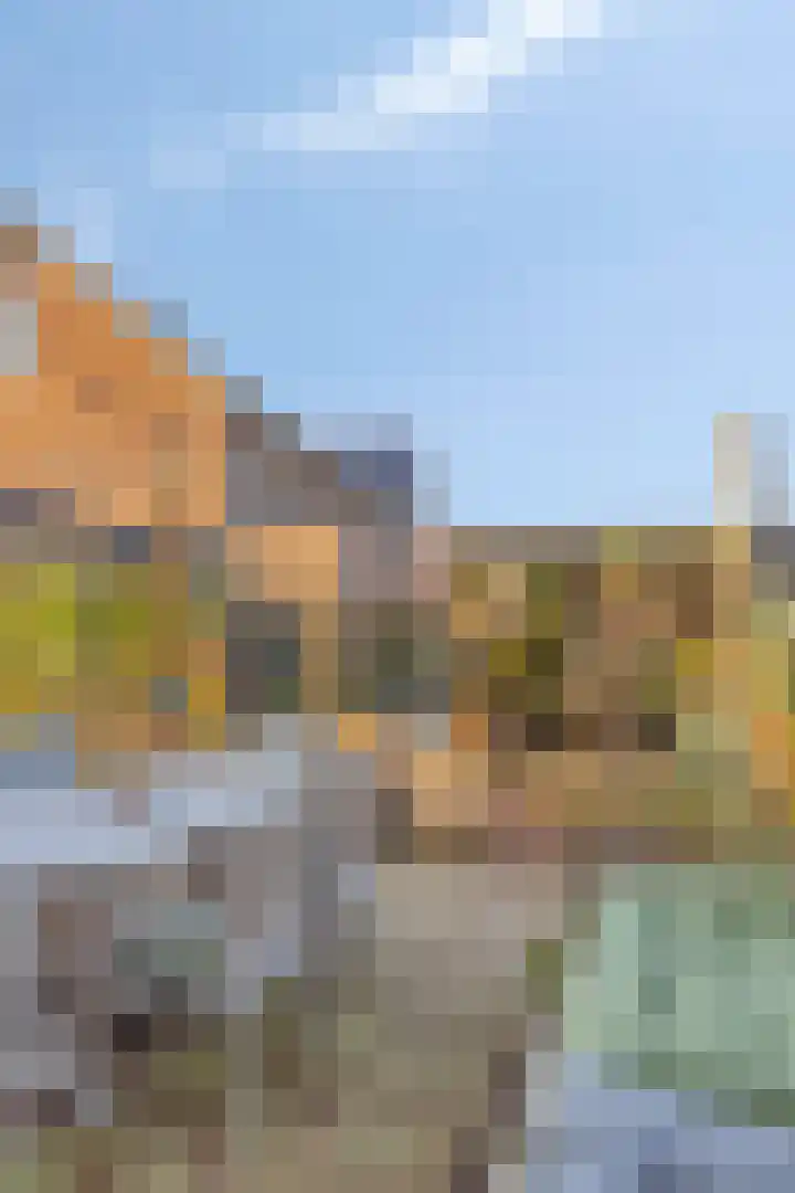 Den Dries 5 Best thumbnail 44