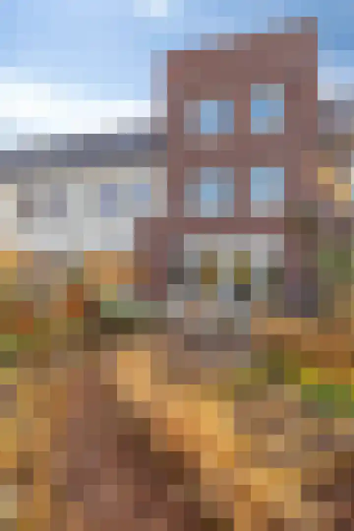 Den Dries 5 Best thumbnail 45