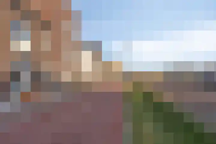 Den Dries 5 Best thumbnail 46