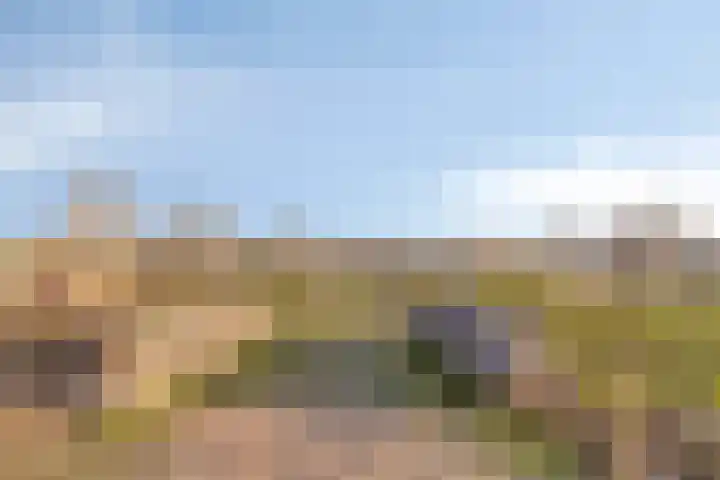 Den Dries 5 Best thumbnail 47