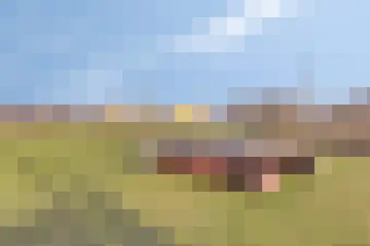Den Dries 5 Best thumbnail 49