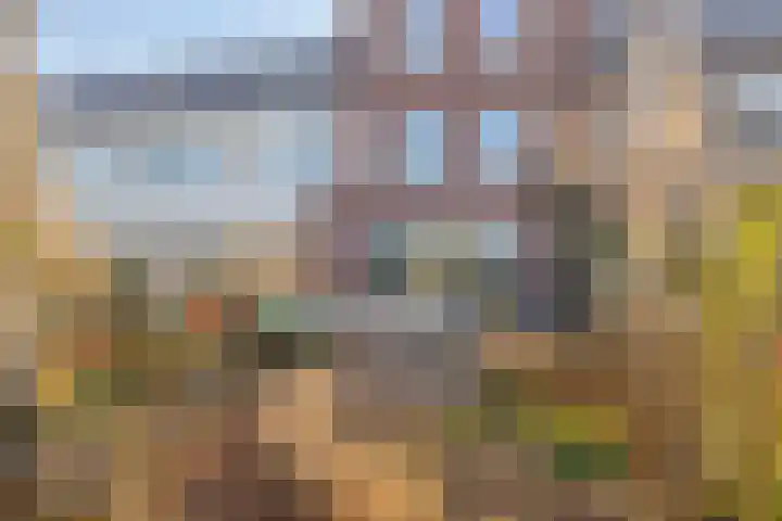 Den Dries 5 Best thumbnail 5