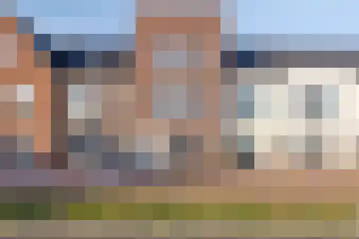Den Dries 5 Best thumbnail 6