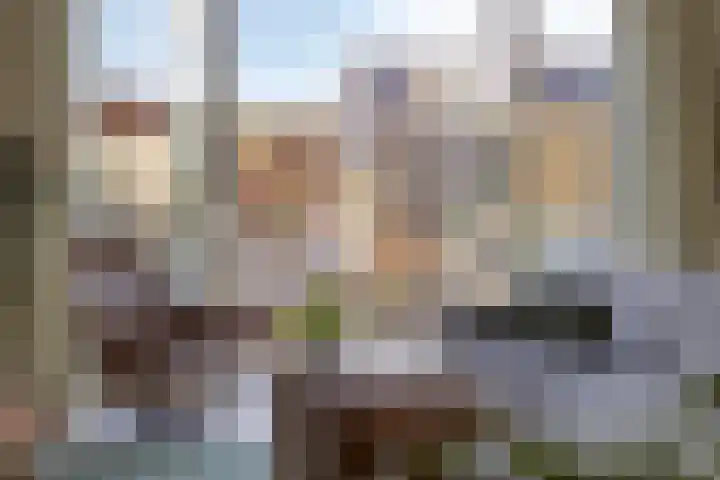 Den Dries 5 Best thumbnail 9