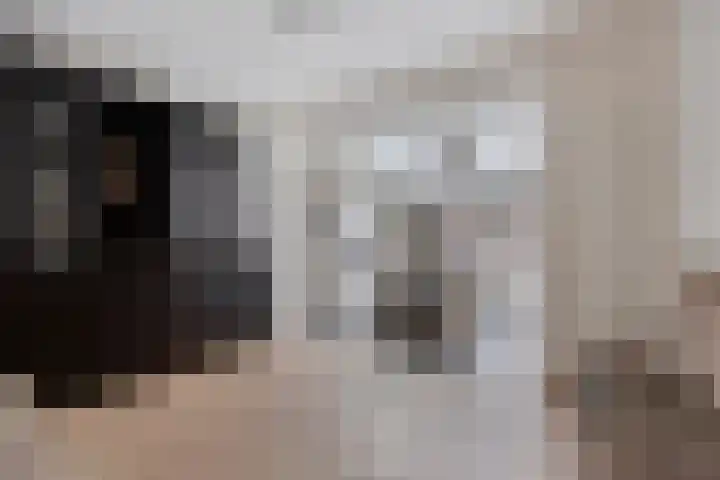 Den Dries 7 Gilze thumbnail 10