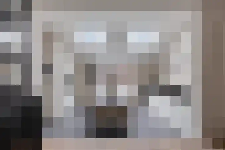 Den Dries 7 Gilze thumbnail 11
