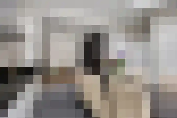 Den Dries 7 Gilze thumbnail 12