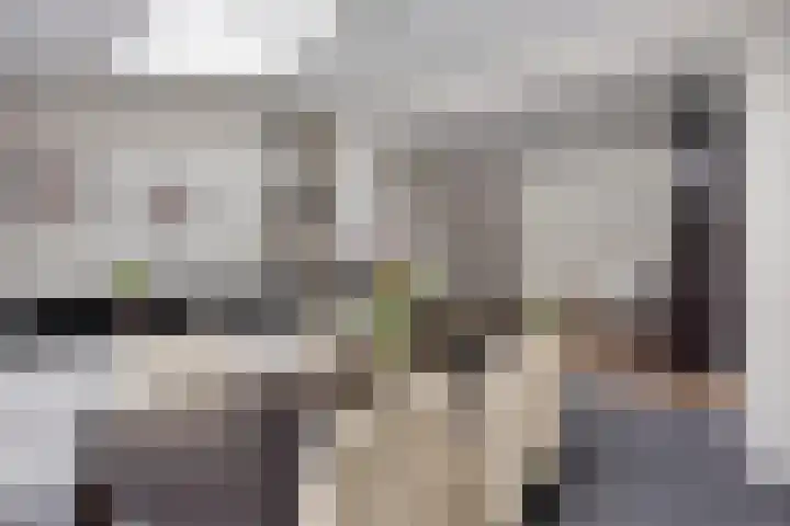 Den Dries 7 Gilze thumbnail 13