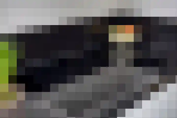Den Dries 7 Gilze thumbnail 15
