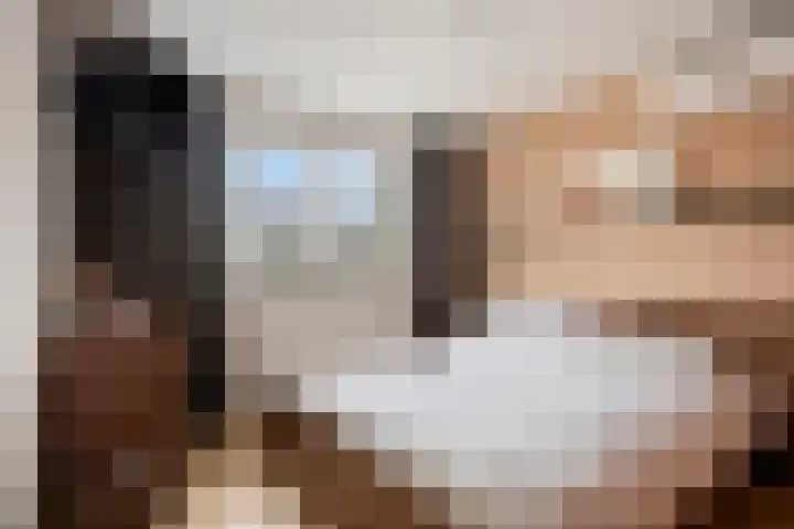Den Dries 7 Gilze thumbnail 19
