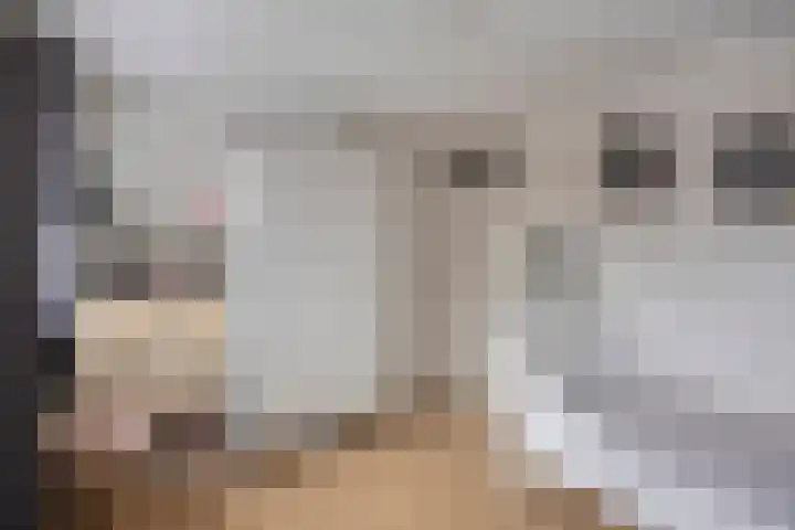 Den Dries 7 Gilze thumbnail 22
