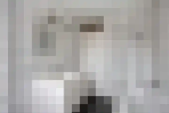 Den Dries 7 Gilze thumbnail 25