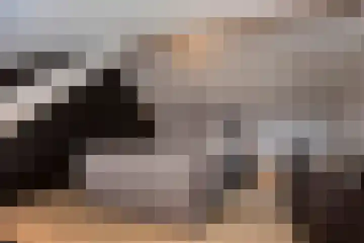 Den Dries 7 Gilze thumbnail 31