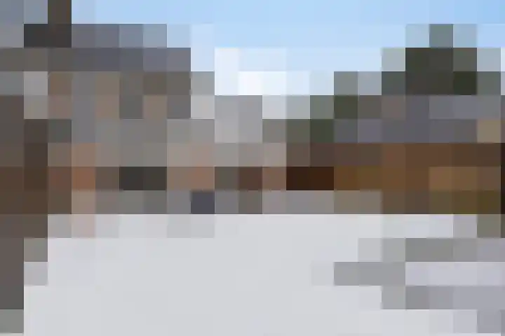 Den Dries 7 Gilze thumbnail 35