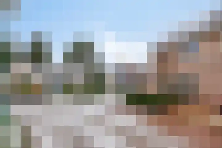 Den Dries 7 Gilze thumbnail 37