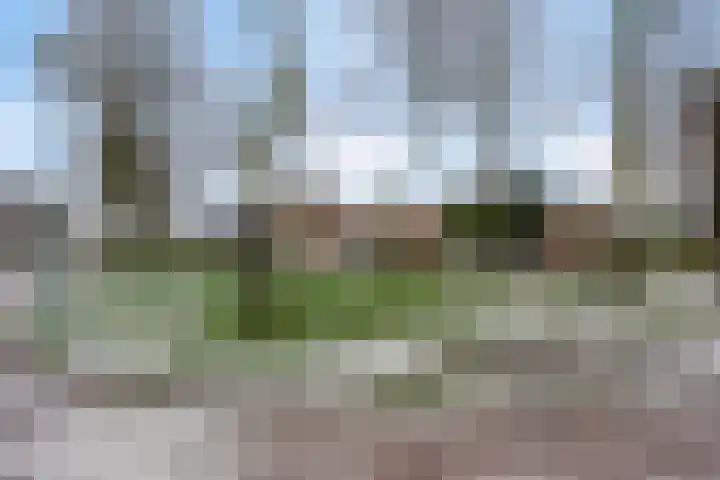 Den Dries 7 Gilze thumbnail 38