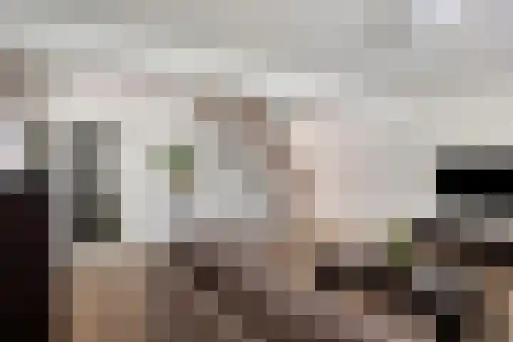Den Dries 7 Gilze thumbnail 6