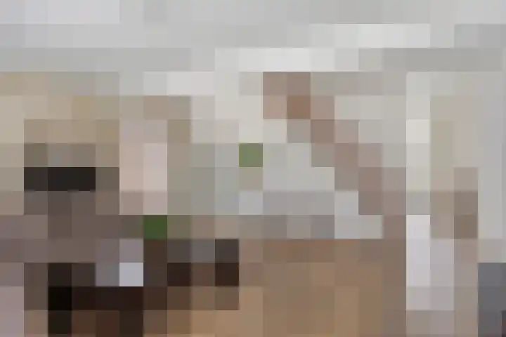 Den Dries 7 Gilze thumbnail 7