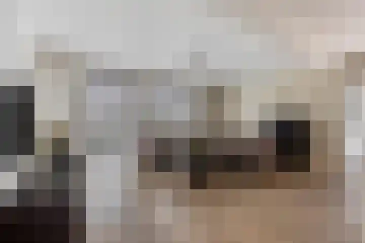 Den Dries 7 Gilze thumbnail 8