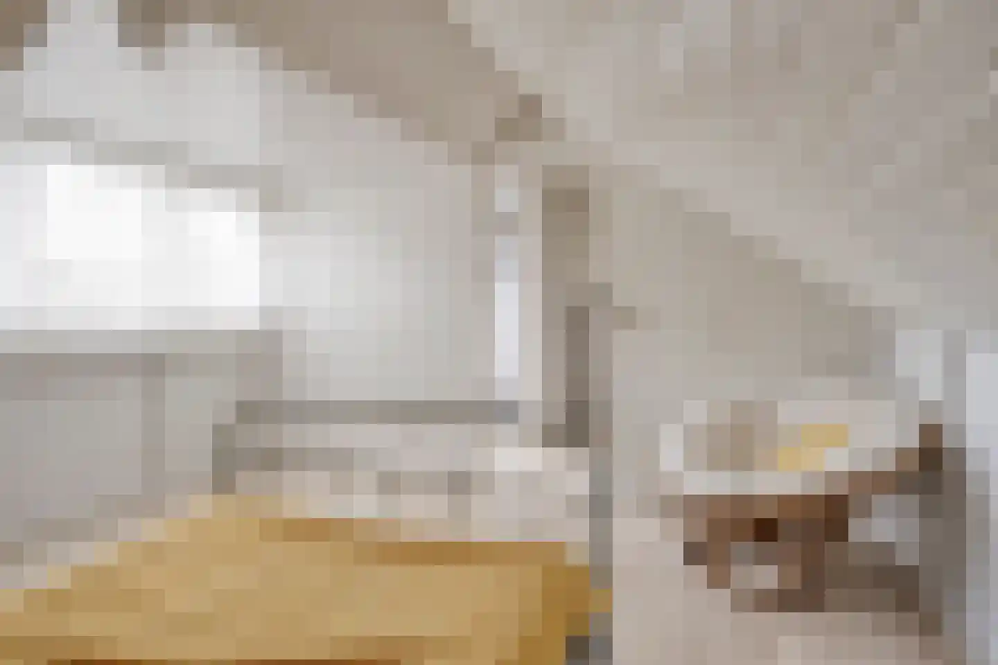 den Drink 22 Reusel thumbnail 31