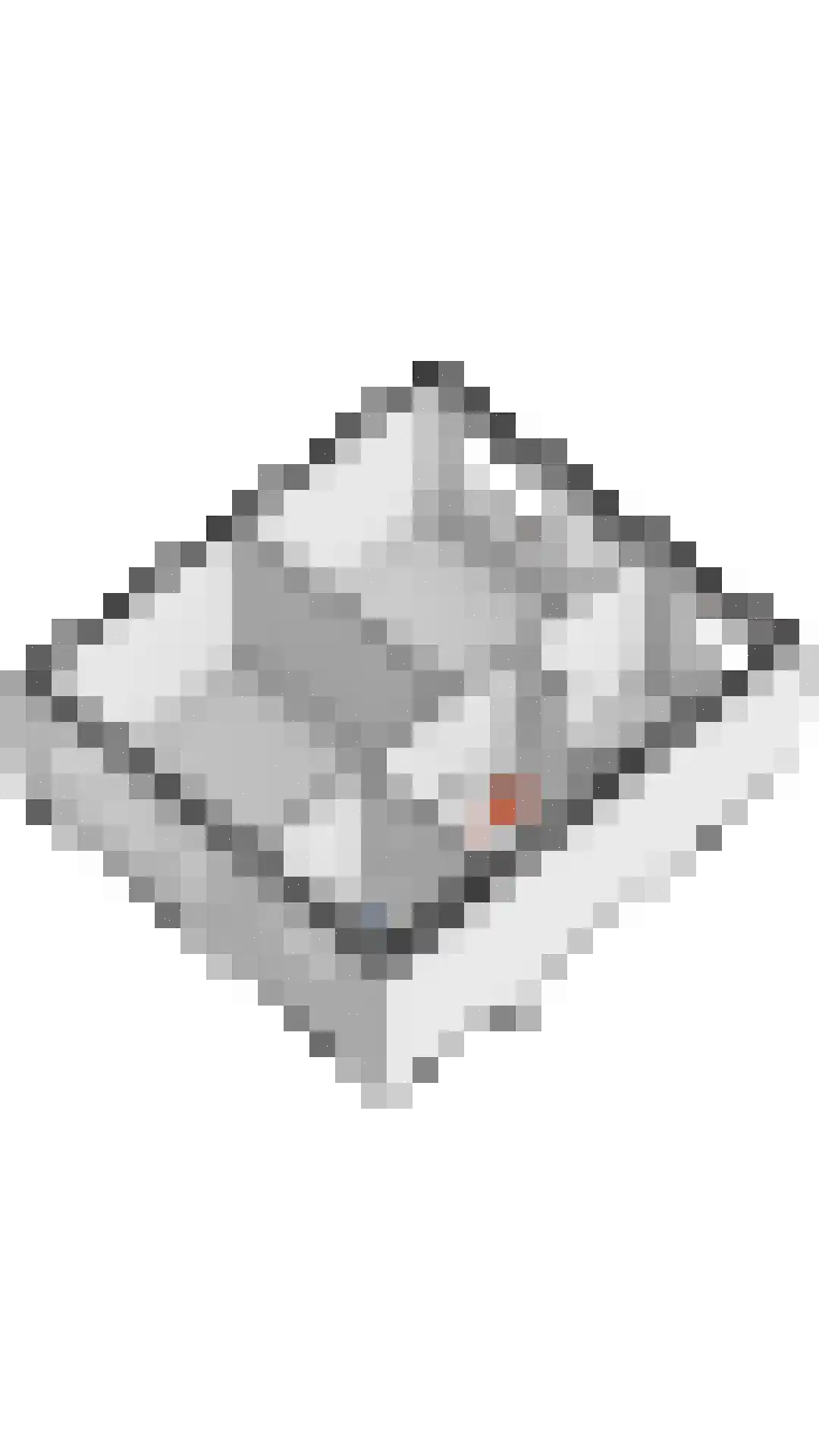 den Drink 22 Reusel thumbnail 52