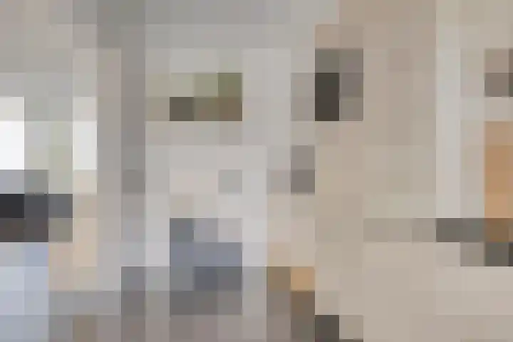 den Drink 28 Reusel thumbnail 10