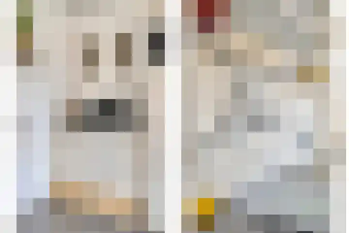 den Drink 28 Reusel thumbnail 11