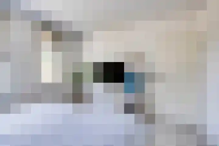 den Drink 28 Reusel thumbnail 13